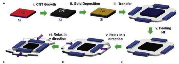 GA黄金甲(中国)最新官方网站