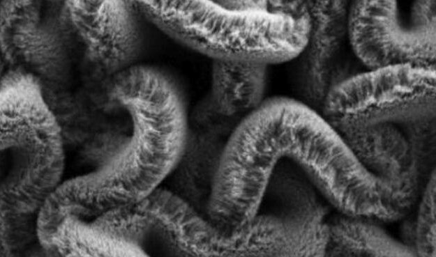 行业新闻：可拉伸的超等电容器，，为柔性可衣着装备铺路